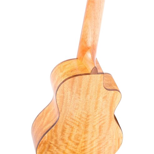 ORTEGA RUMG-CE-L