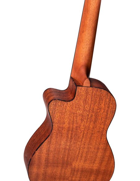 ORTEGA RU5MM-CE