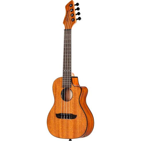 ORTEGA RUHZ-CE-MM