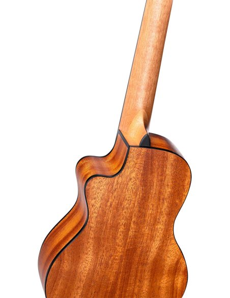 ORTEGA RUHZ-CE-MM