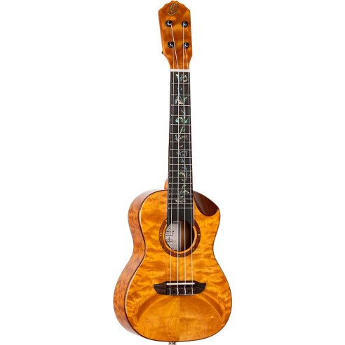 ORTEGA RUET-QMA