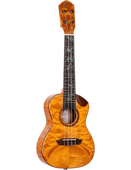 ORTEGA RUET-QMA