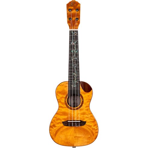 ORTEGA RUET-QMA