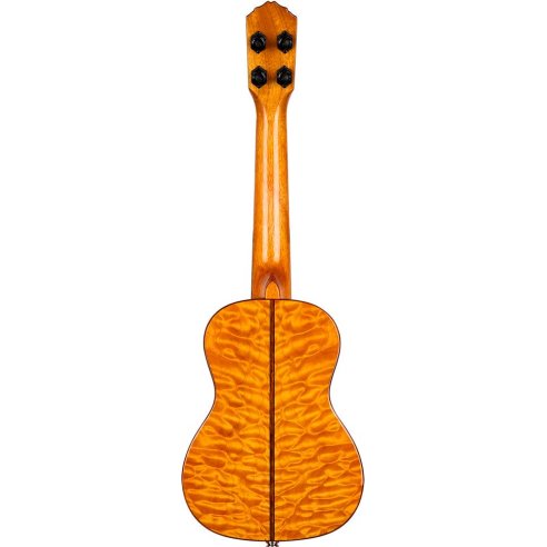 ORTEGA RUET-QMA