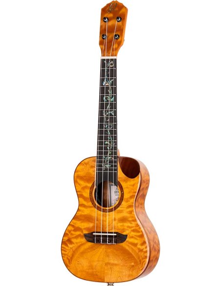 ORTEGA RUET-QMA