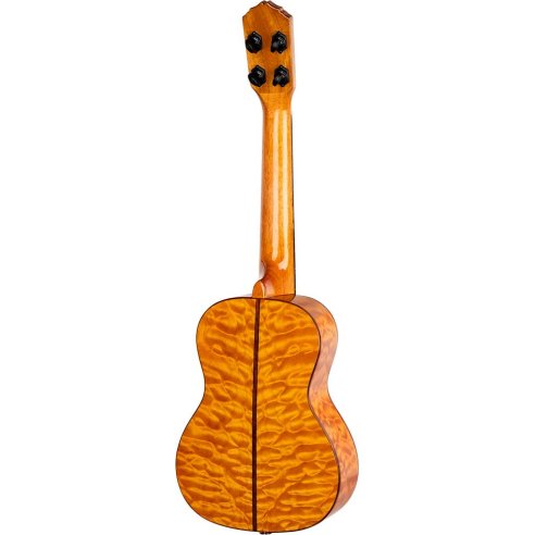 ORTEGA RUET-QMA