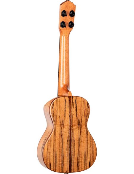 ORTEGA RUET-SMA