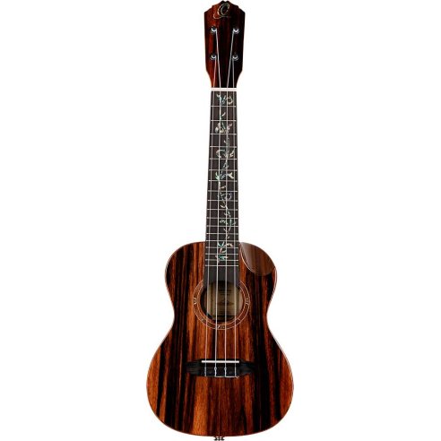 ORTEGA RUET-EB