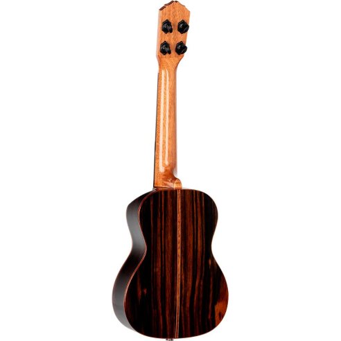 ORTEGA RUET-EB