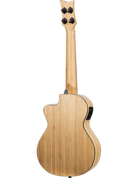 ORTEGA RUNAB-TE