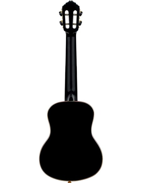 ORTEGA RUOX-TE