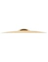 MEINL CC18TC-B