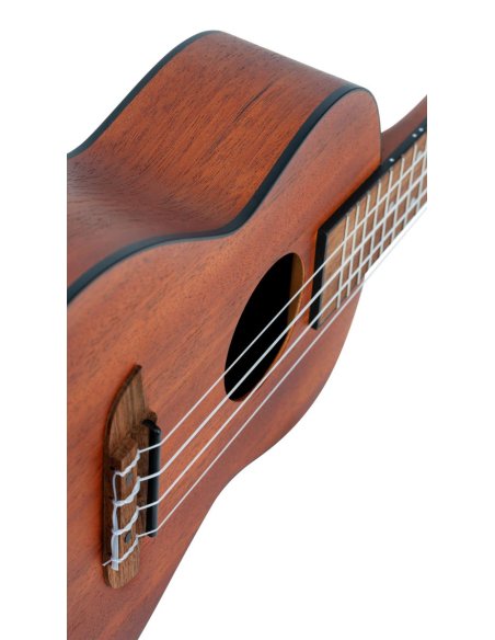ORTEGA RU4MM