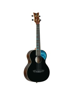 ORTEGA RUGH-BKT 2