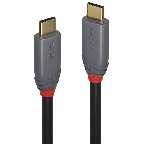 LINDY CAVO USB 3.2 5A 3 MT