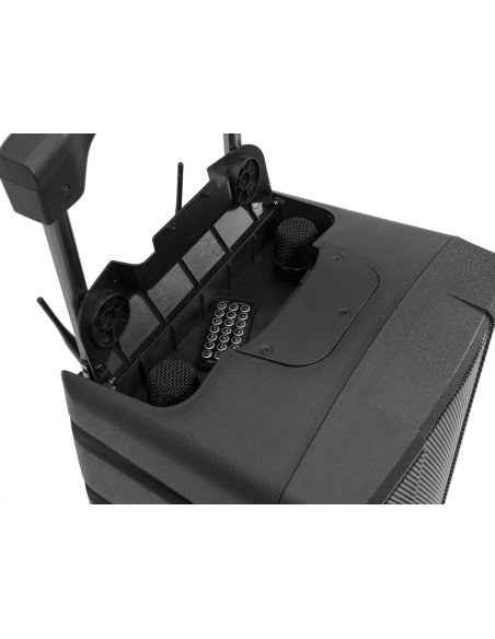 OMNITRONIC WAMS-10BT2