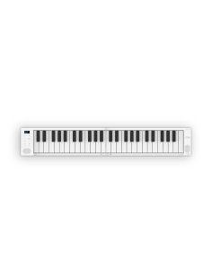 BLACKSTAR CARRY ON PIANO 49 2