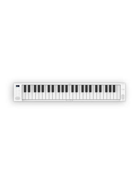 BLACKSTAR CARRY ON PIANO 49