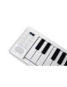 BLACKSTAR CARRY ON PIANO 49