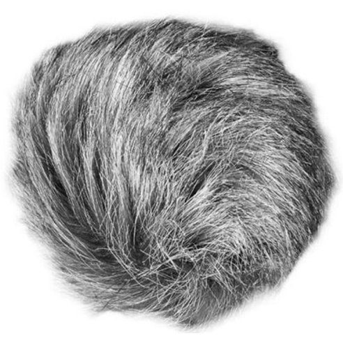 ZOOM WSH-1e UNIVERSAL WINDSCREEN