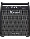 ROLAND PM-200 MONITOR X V DRUMS