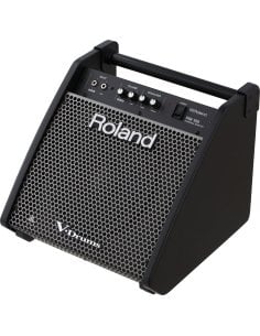 ROLAND PM-100