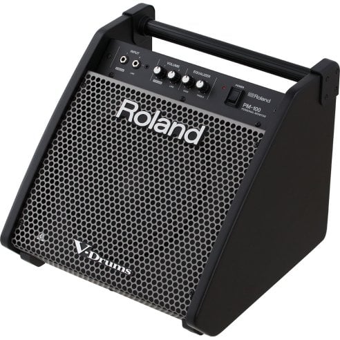ROLAND PM-100