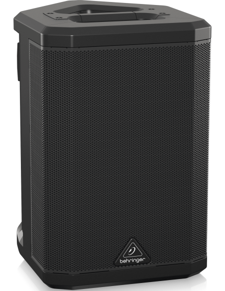 BEHRINGER B1X