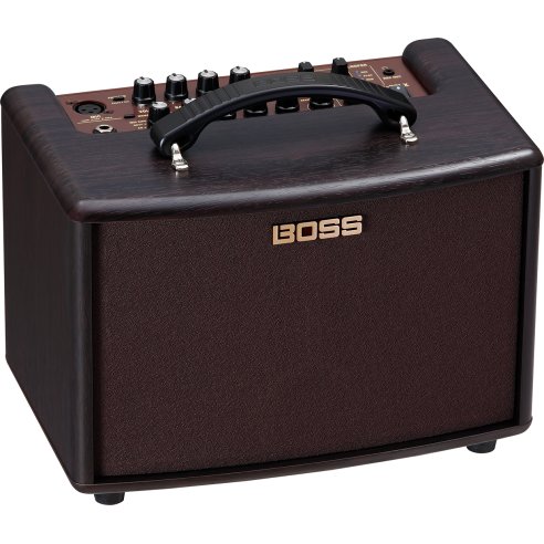 BOSS AC-22 LX