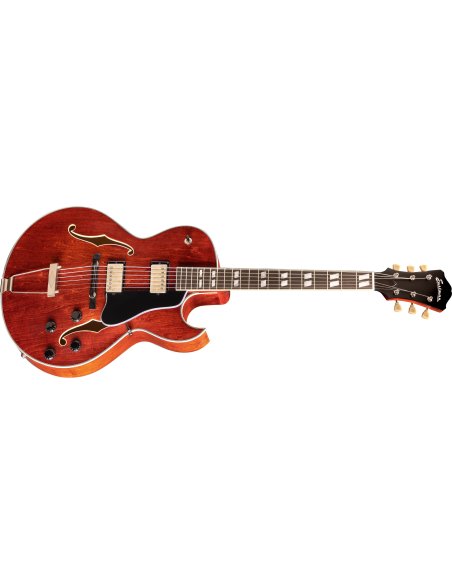 EASTMAN T49D/TV HB