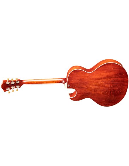 EASTMAN T49D/TV HB
