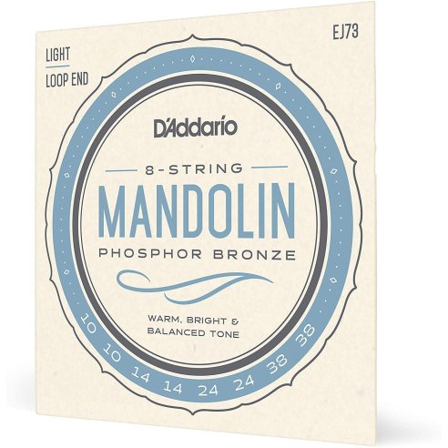 D'ADDARIO EJ73 MANDOLINO