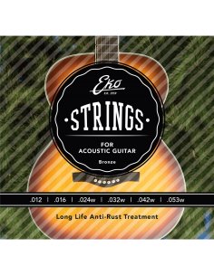 EKO ACOUSTIC SET H 12/53