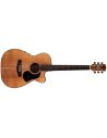MATON EBW808C BLACKWOOD CUTAWAY