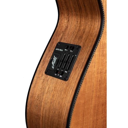 MATON EBW808C BLACKWOOD CUTAWAY