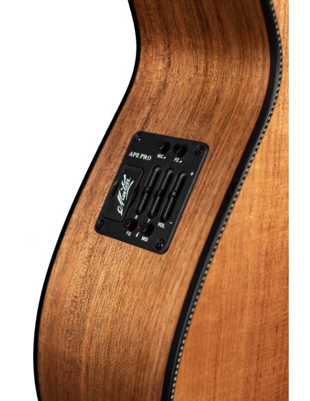 MATON EBW808C BLACKWOOD CUTAWAY