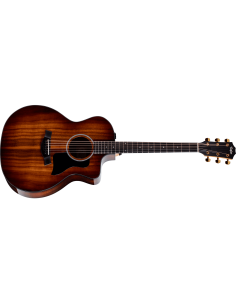 TAYLOR 224ce-K DLX