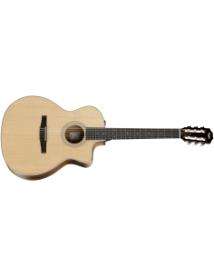 TAYLOR 214ce-N
