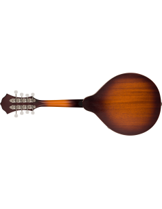 FENDER PM-180 MANDOLINO ELETTRIFICATO 2