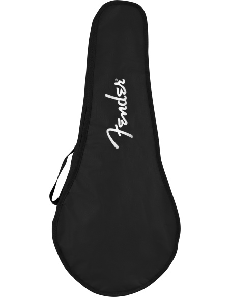 FENDER PM-180 MANDOLINO ELETTRIFICATO