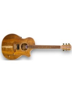 COLE CLARK TL2EC-BLBL-HUM