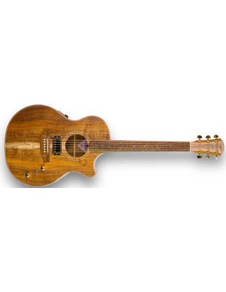COLE CLARK TL2EC-BLBL-HUM