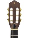 STAGG EC3000 MAHOGANY