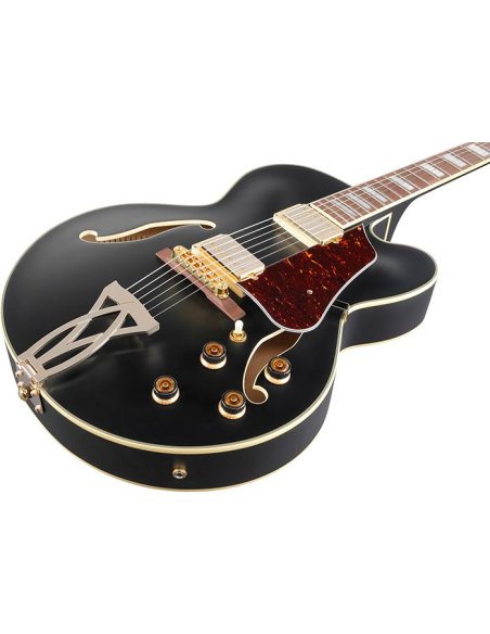 IBANEZ AF75G BKF
