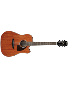 IBANEZ PF16 W CE OPN