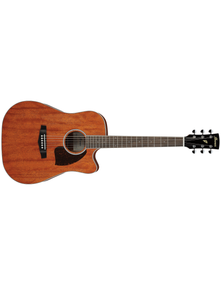 IBANEZ PF16 W CE OPN