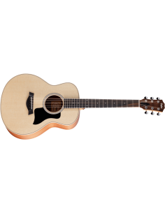 TAYLOR GS MINI SAPELE/SPRUCE