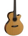 CORT CEC-7