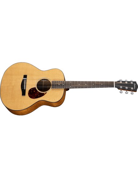 EASTMAN ACTG2E DLX + GIGBAG
