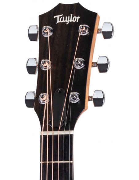 TAYLOR 112ce-N